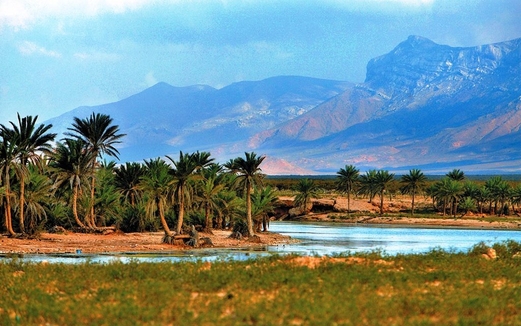 جزيرة سقطرى