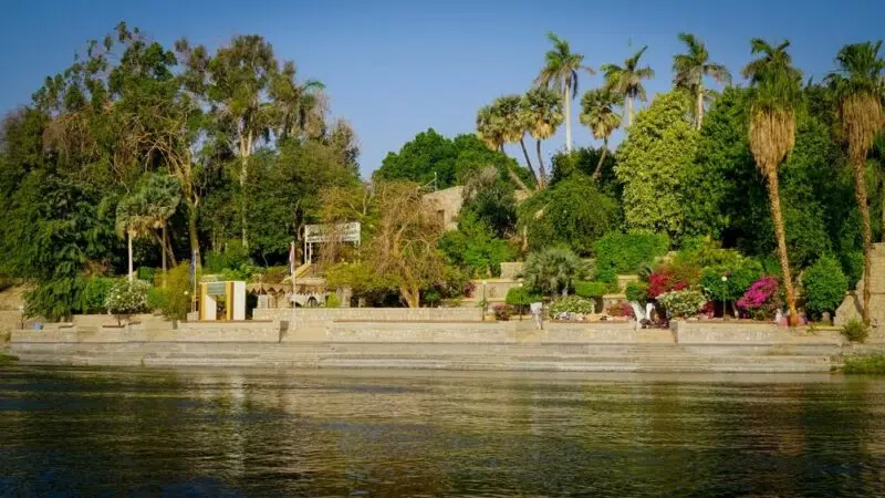جزيرة النباتات