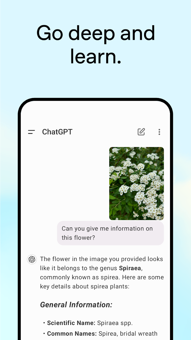 تطبيق ChatGPT